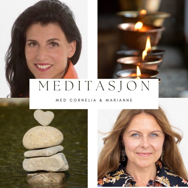 Få tilgang til alle Yam meditasjoner